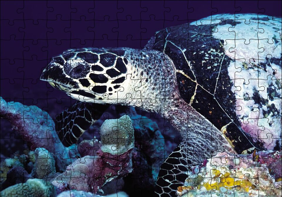 Deniz Kaplumbağa Puzzle Yapboz MDF Ahşap 120 Parça 24 cm X 34 cm