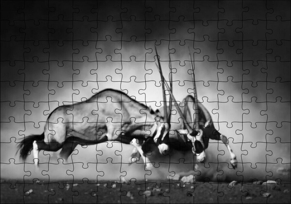 Antilop Kavgası Puzzle Yapboz MDF Ahşap