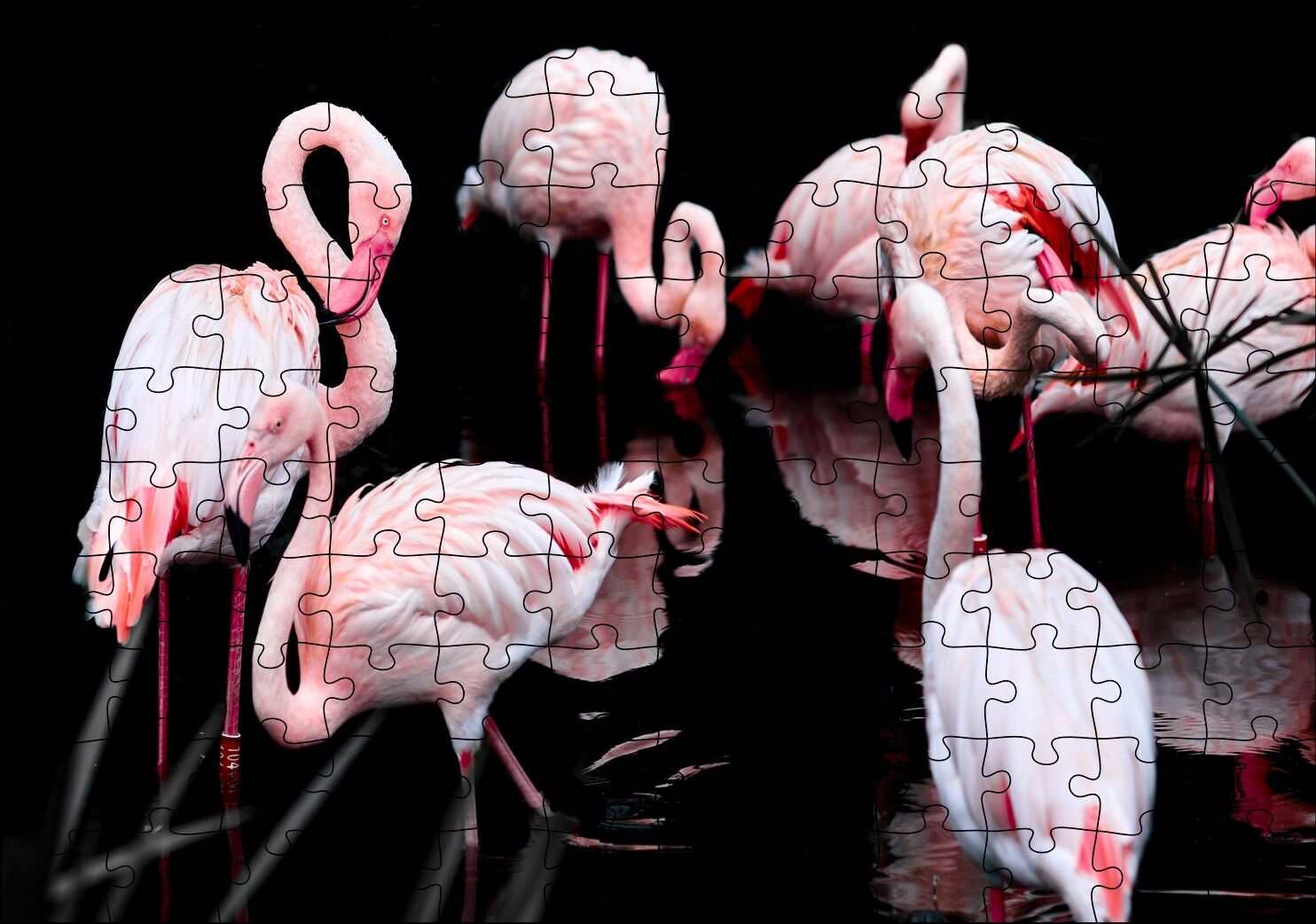 Flamigolar Karanlık Göl Arka Plan Puzzle Yapboz MDF Ahşap