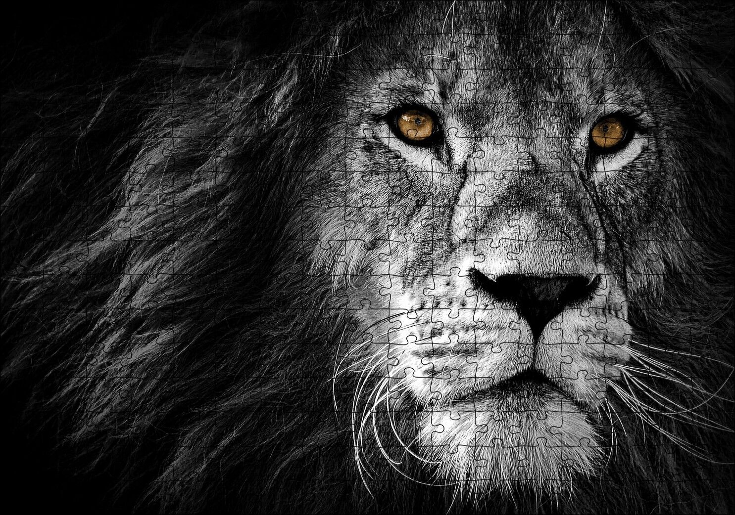Yalnız Kral Erkek Aslan Yakın Portre Siyah Beyaz Puzzle Yapboz MDF Ahşap 255 Parça 34 cm X 49 cm