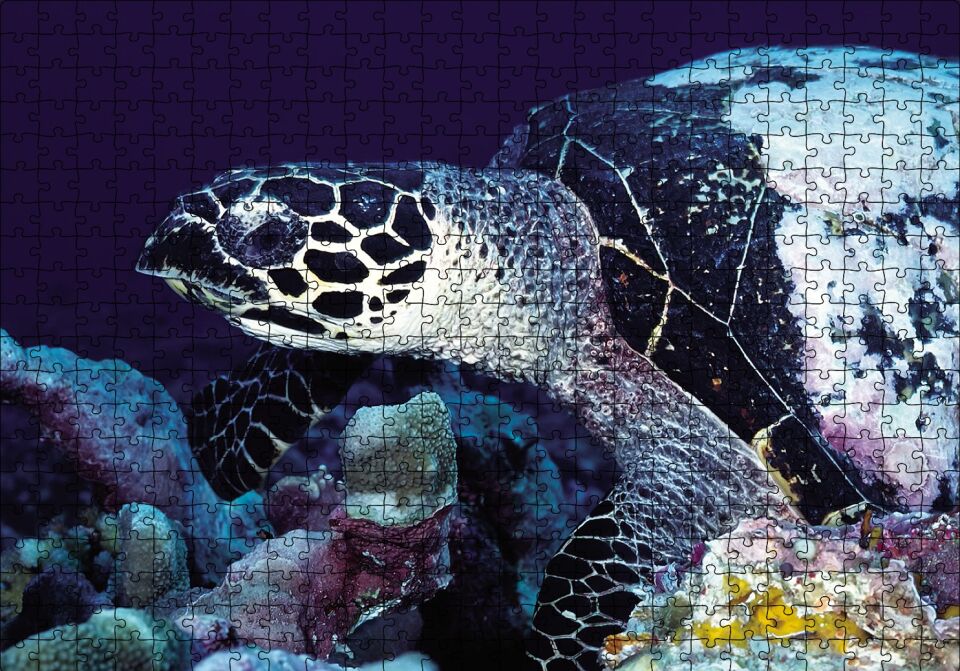 Deniz Kaplumbağa Puzzle Yapboz MDF Ahşap 500 Parça 49 cm X 68 cm
