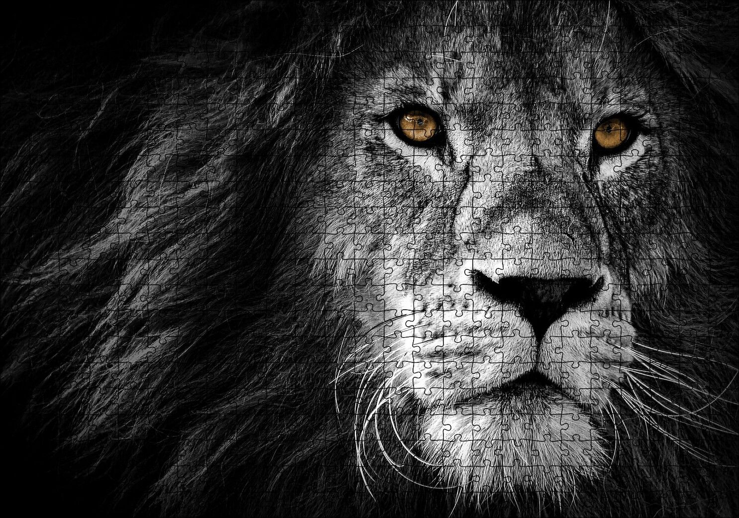 Yalnız Kral Erkek Aslan Yakın Portre Siyah Beyaz Puzzle Yapboz MDF Ahşap 500 Parça 49 cm X 68 cm