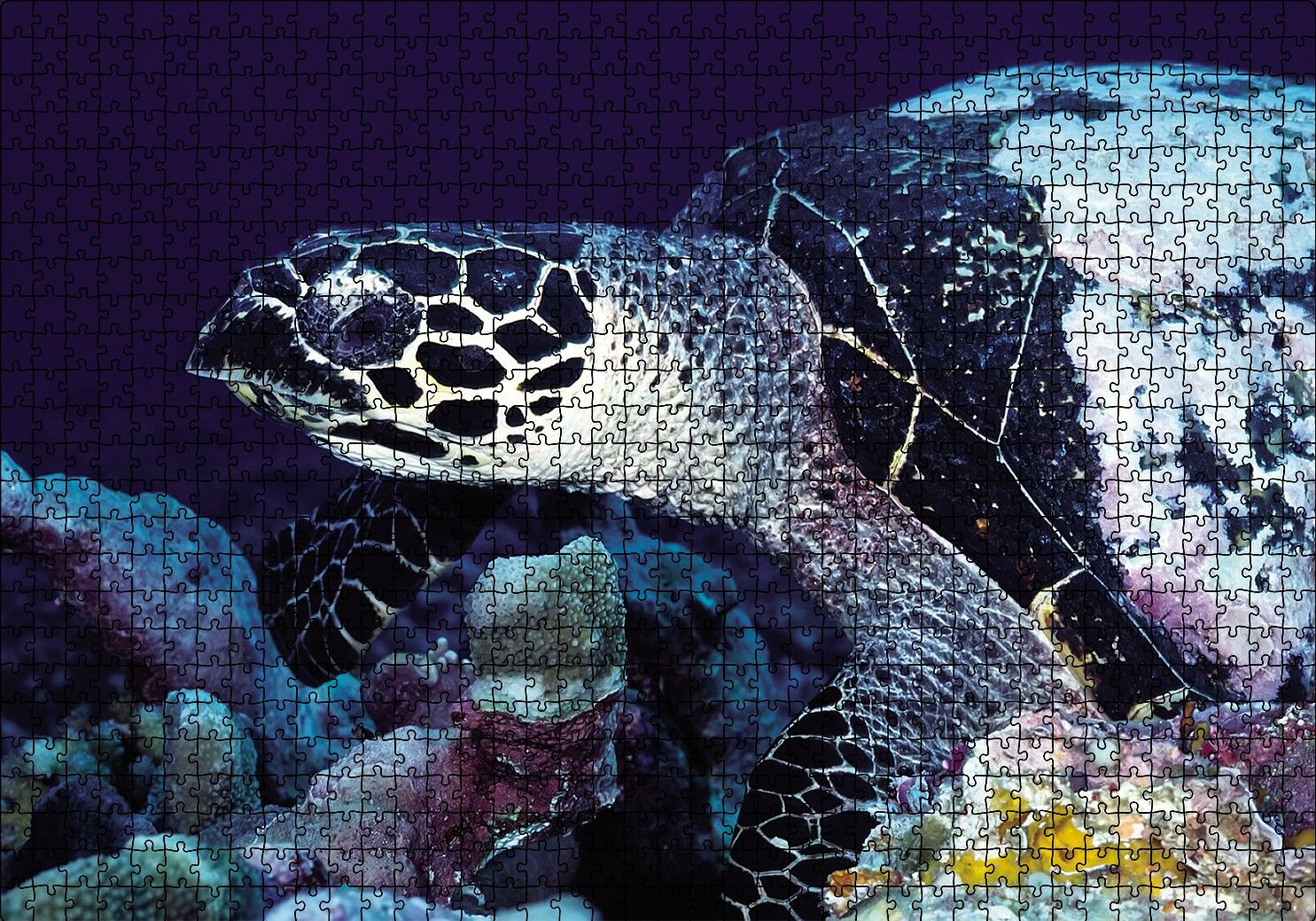 Deniz Kaplumbağa Puzzle Yapboz MDF Ahşap 1000 Parça 49 cm X 68 cm