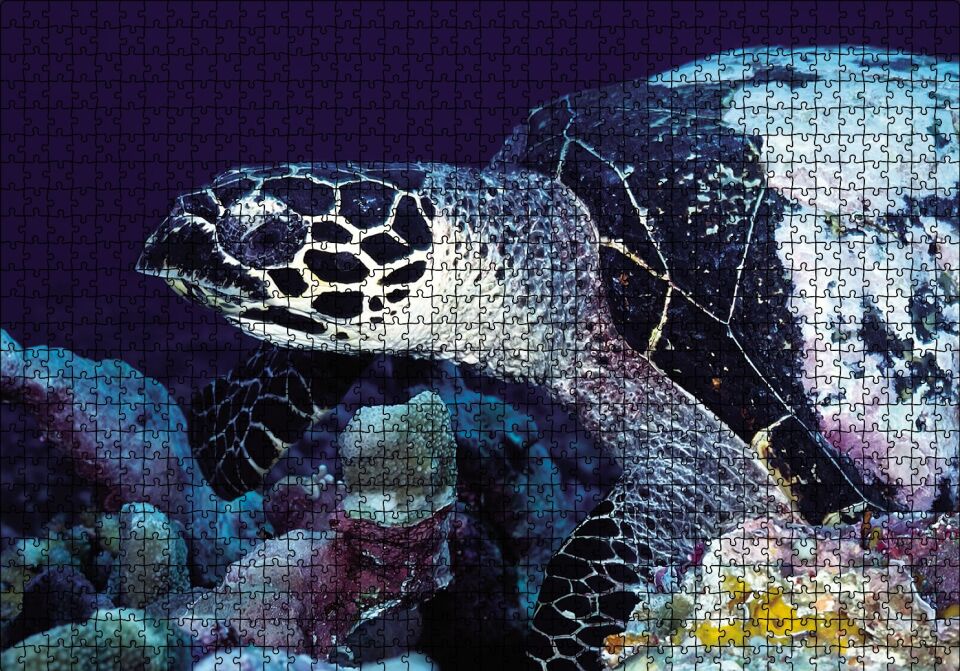 Deniz Kaplumbağa Puzzle Yapboz MDF Ahşap 1000 Parça 49 cm X 68 cm