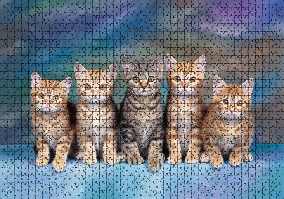 Dört Yavru Sarmanın Arasındaki Tekir Puzzle Yapboz MDF Ahşap 1000 Parça 49 cm X 68 cm