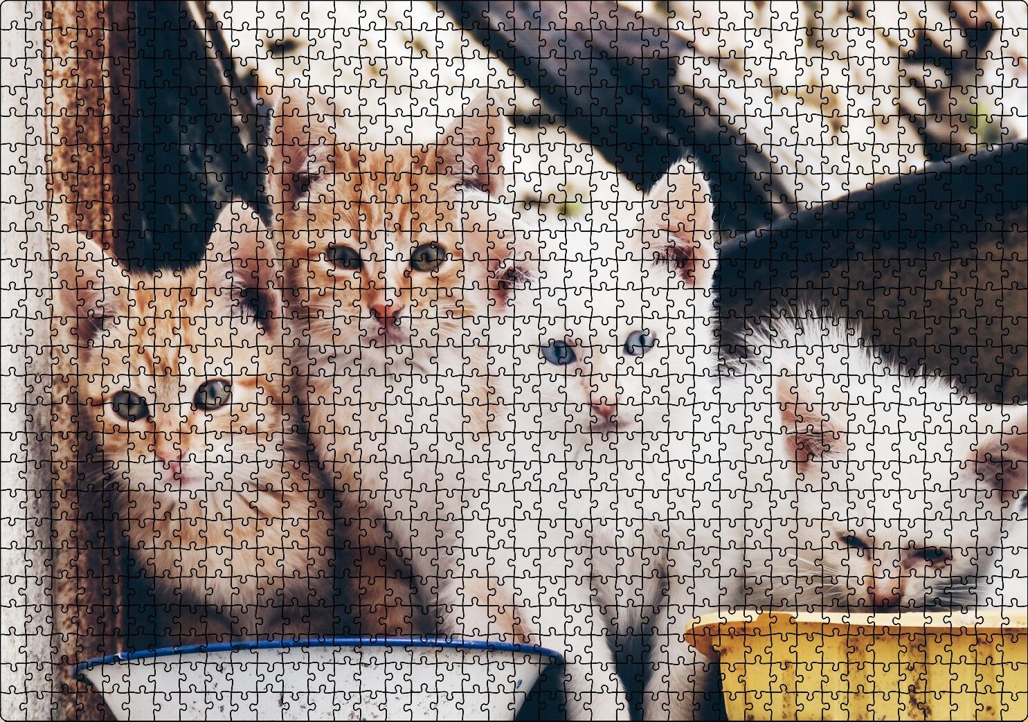 Eski Pencerede Sarı ve Beyaz Yavru Kediler Puzzle Yapboz MDF Ahşap 1000 Parça 49 cm X 68 cm