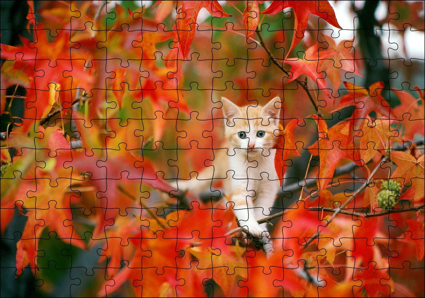 Sonbaharda Çınar Yaprakları Arasındaki Yavru Kedi Puzzle Yapboz MDF Ahşap
