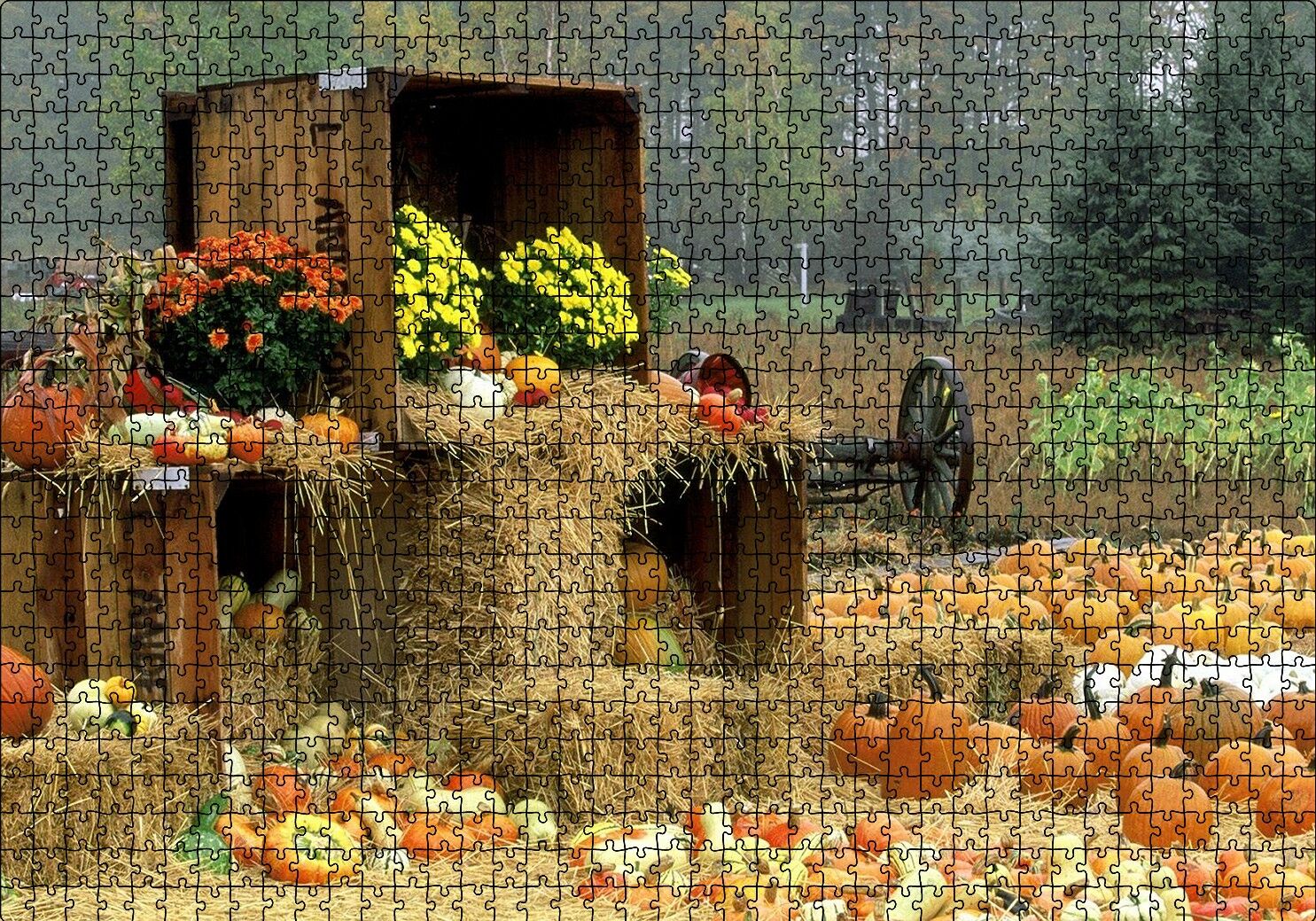 Kabaklar Samanlar ve Kasalar Puzzle Yapboz MDF Ahşap 1000 Parça 49 cm X 68 cm