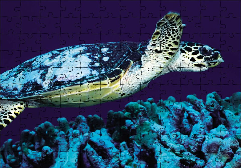 Deniz Dibinde Kaplumbağası Puzzle Yapboz MDF Ahşap 120 Parça 24 cm X 34 cm