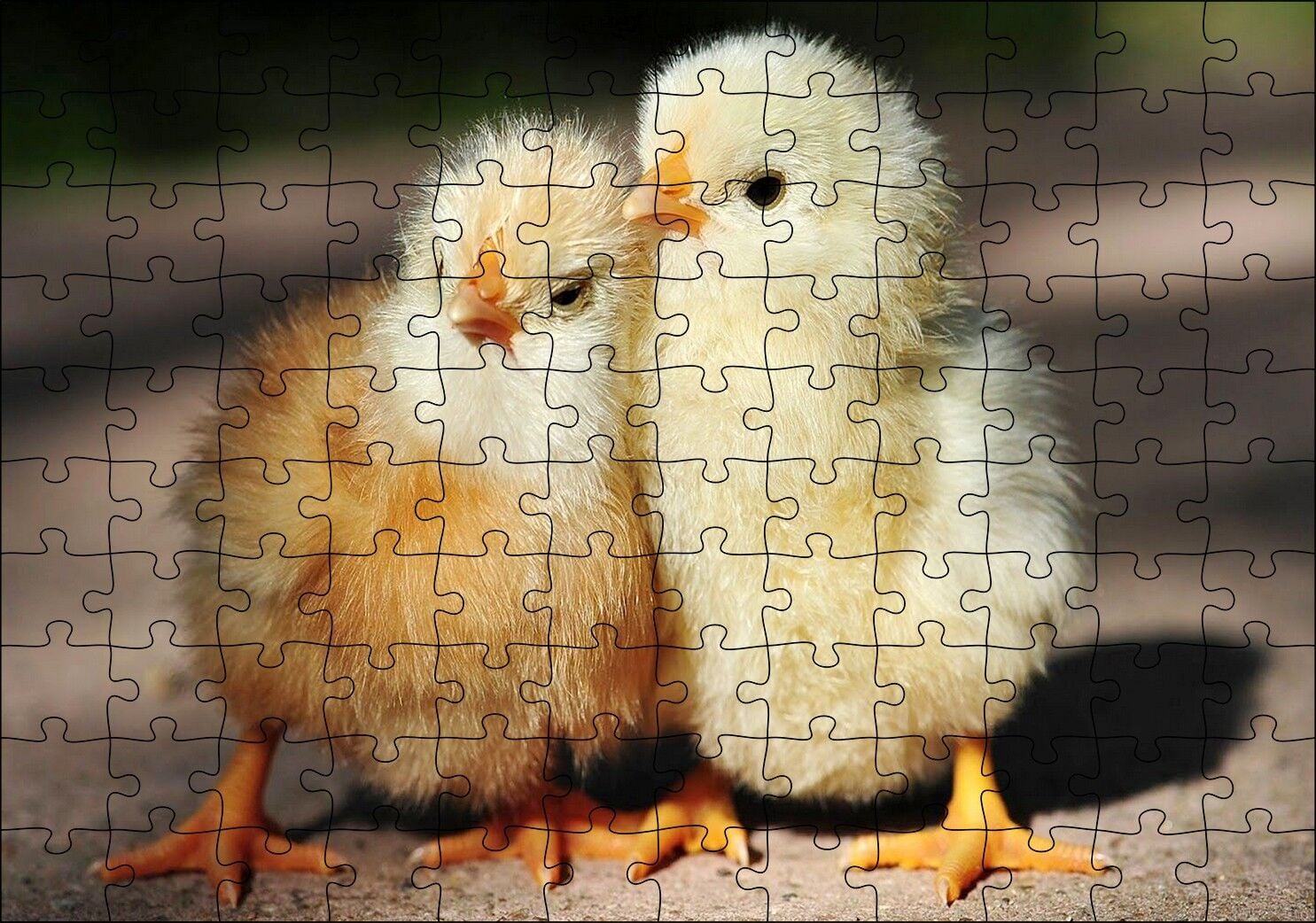 Sevimli İki Civciv Puzzle Yapboz MDF Ahşap 120 Parça 24 cm X 34 cm