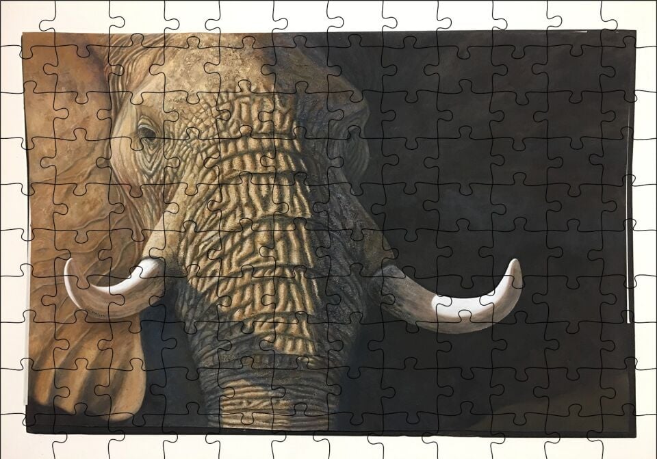 İhtiyar Fil Yakın Çekim Puzzle Yapboz MDF Ahşap