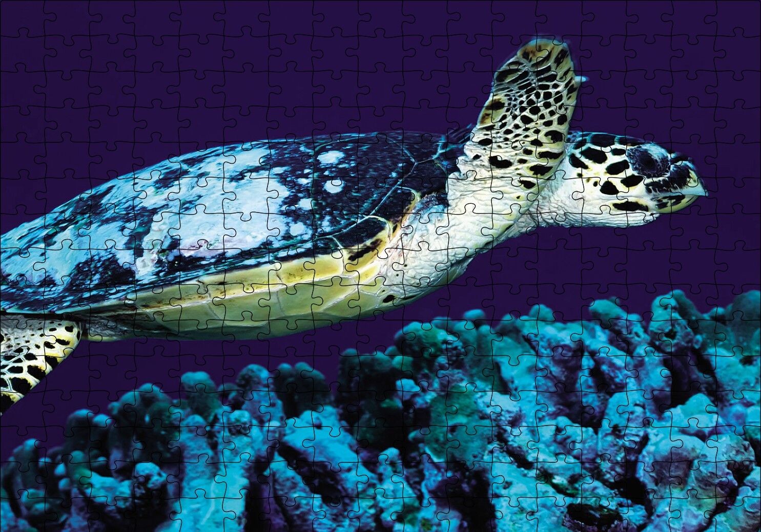 Deniz Dibinde Kaplumbağası Puzzle Yapboz MDF Ahşap 255 Parça 34 cm X 49 cm