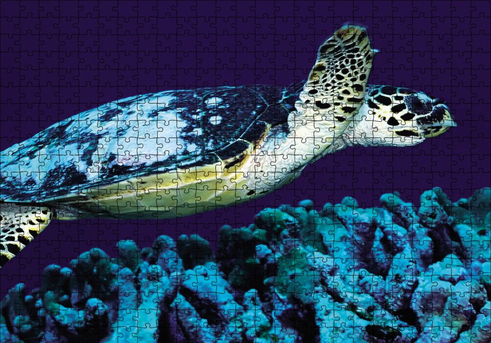 Deniz Dibinde Kaplumbağası Puzzle Yapboz MDF Ahşap 500 Parça 49 cm X 68 cm