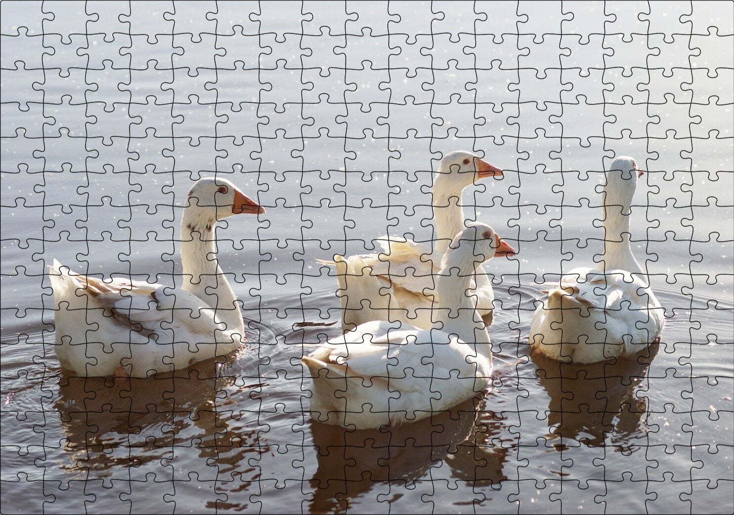 Gölde Süzülen Kazlar ve Güneş Işıkları Puzzle Yapboz MDF Ahşap 255 Parça 34 cm X 49 cm
