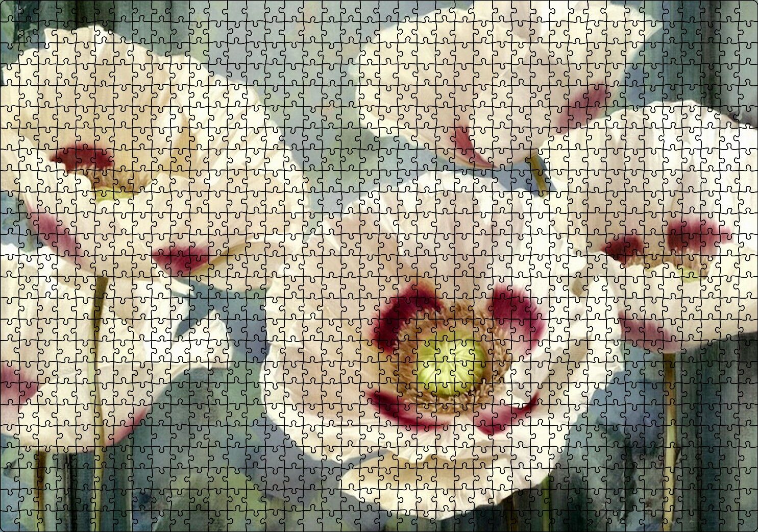 Kırmızı Beyaz Kasımpatı Çiçekleri Puzzle Yapboz MDF Ahşap 1000 Parça 49 cm X 68 cm