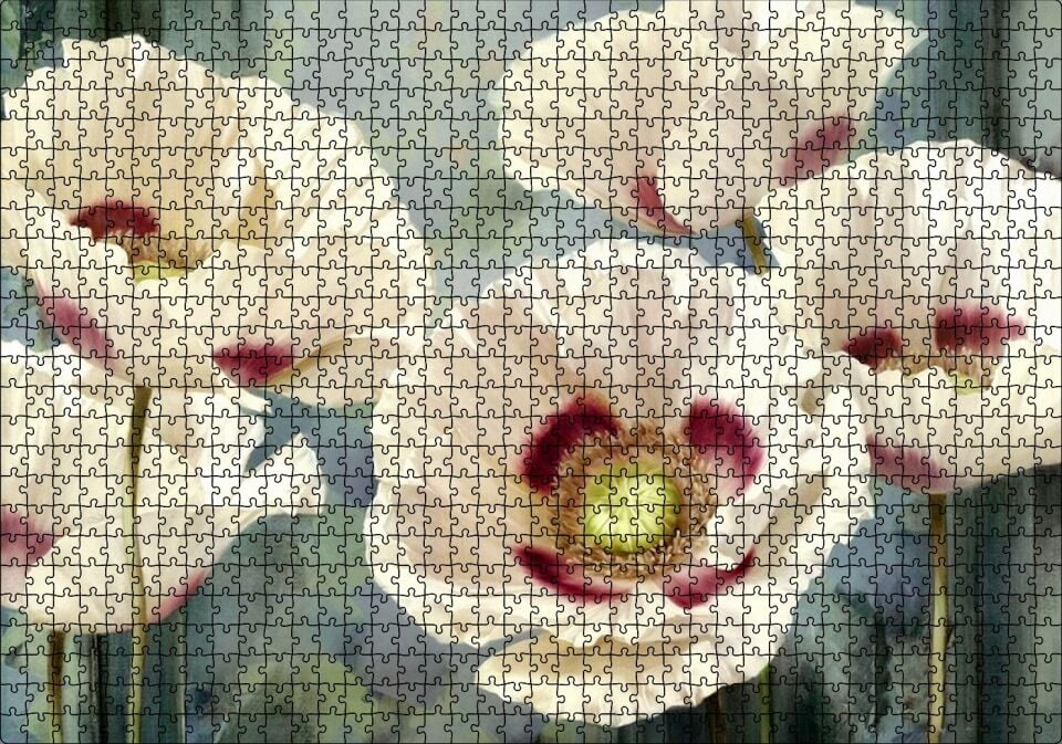Kırmızı Beyaz Kasımpatı Çiçekleri Puzzle Yapboz MDF Ahşap 1000 Parça 49 cm X 68 cm