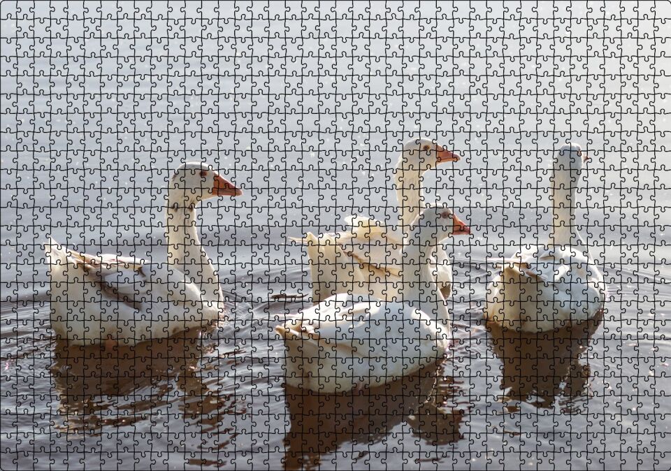 Gölde Süzülen Kazlar ve Güneş Işıkları Puzzle Yapboz MDF Ahşap 1000 Parça 49 cm X 68 cm