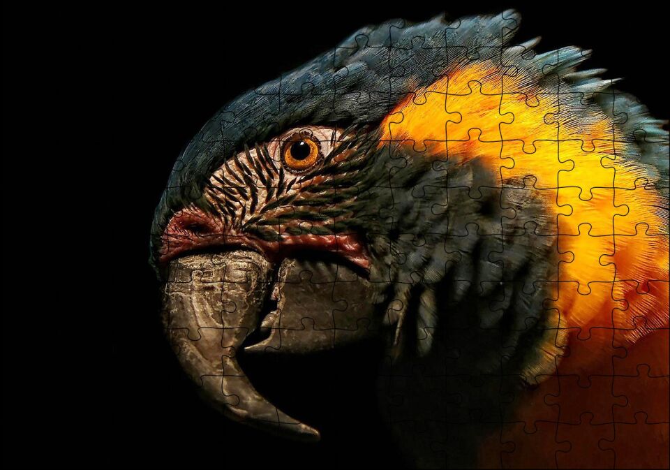 Siyah Arkaplan Turuncu Siyah Macaw Puzzle Yapboz MDF Ahşap 120 Parça 24 cm X 34 cm