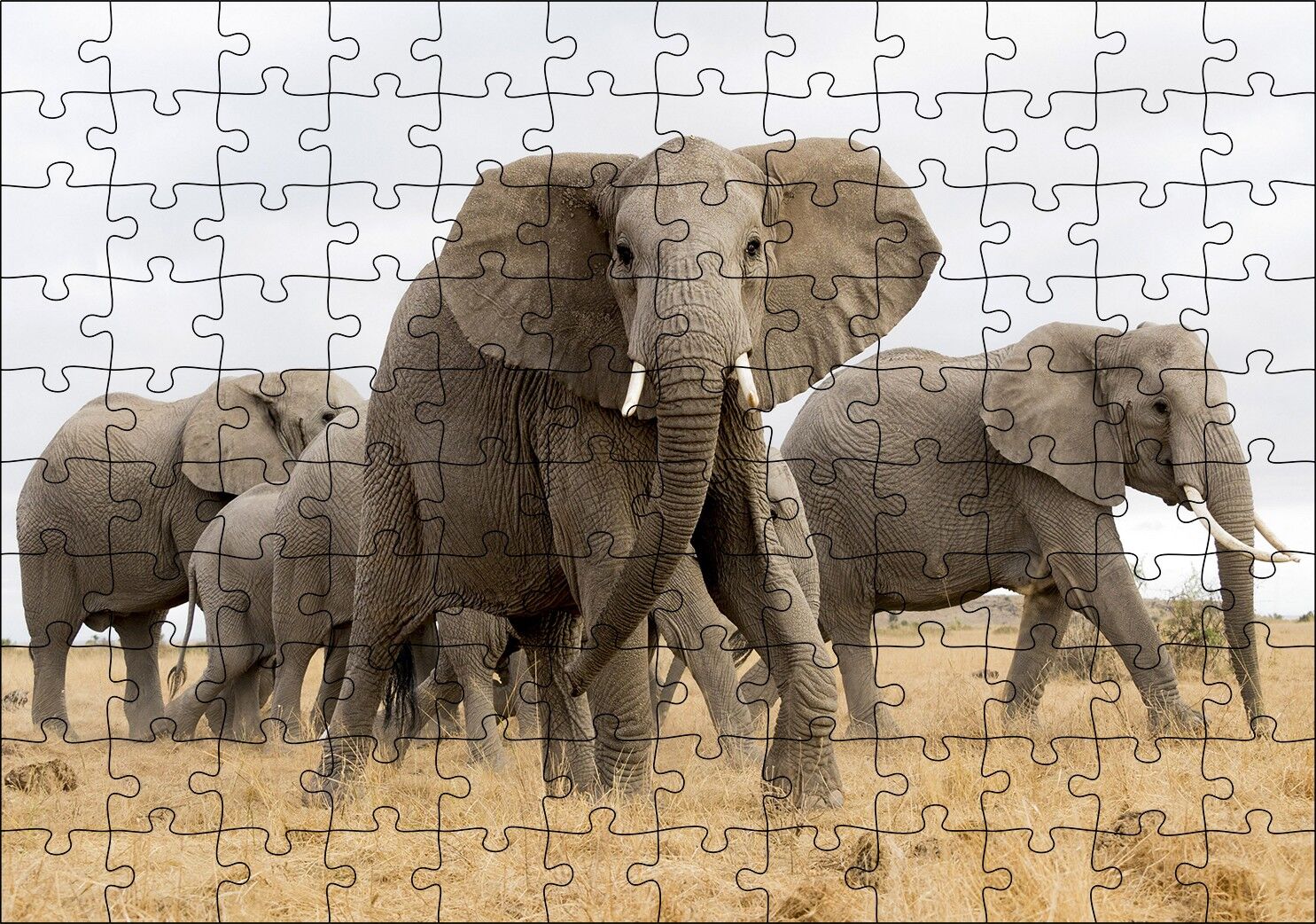 Afrika Safarisinde Filler Puzzle Yapboz MDF Ahşap 120 Parça 24 cm X 34 cm