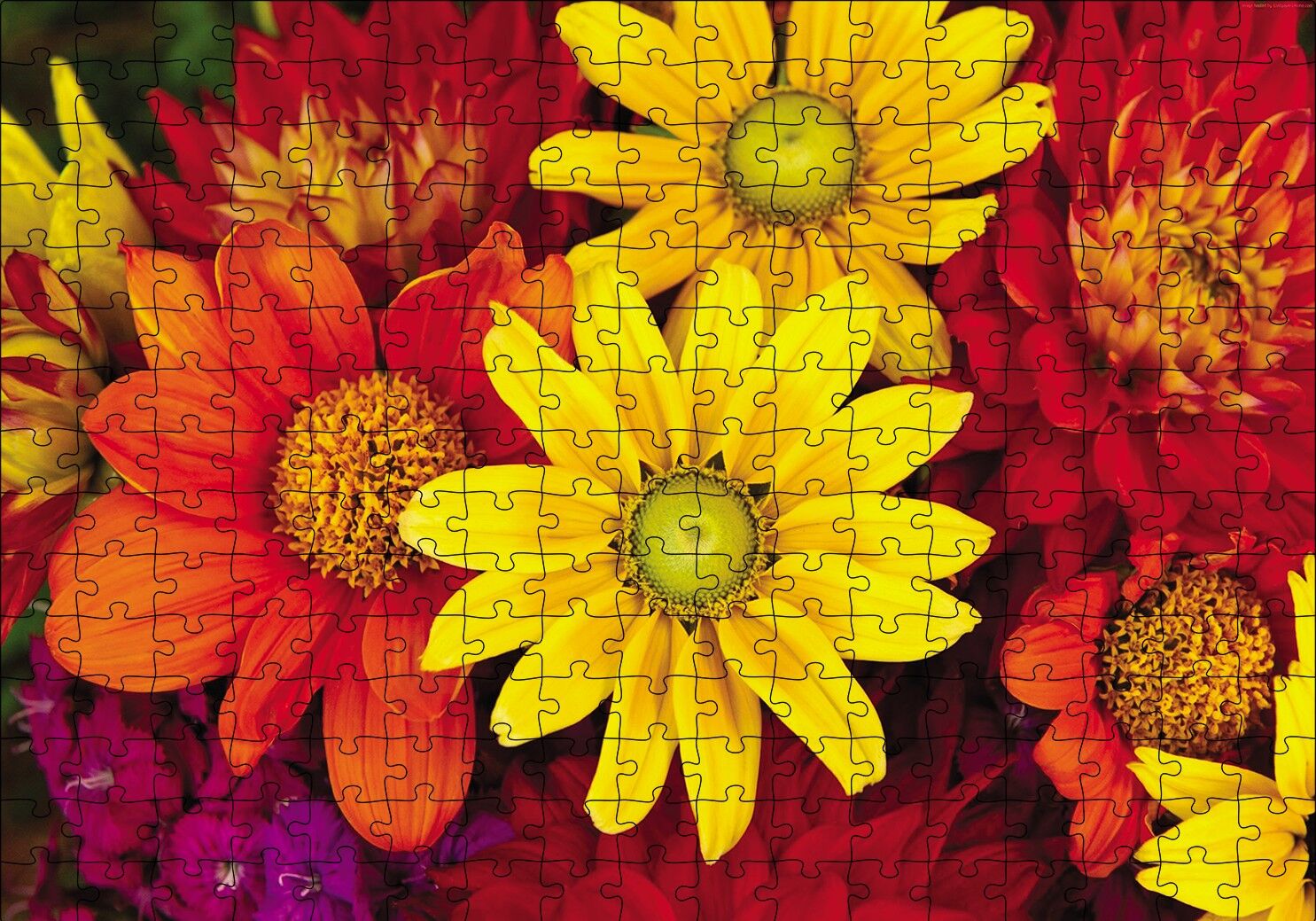 Renkli Çiçekler Puzzle Yapboz MDF Ahşap 255 Parça 34 cm X 49 cm