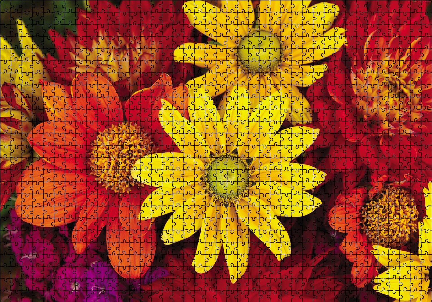 Renkli Çiçekler Puzzle Yapboz MDF Ahşap 1000 Parça 49 cm X 68 cm