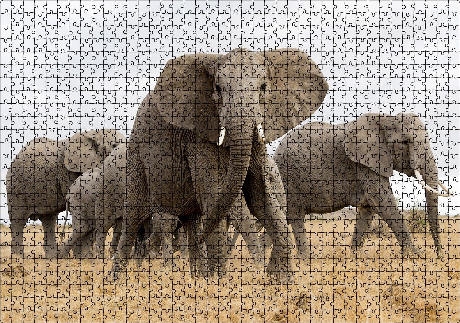 Afrika Safarisinde Filler Puzzle Yapboz MDF Ahşap 1000 Parça 49 cm X 68 cm