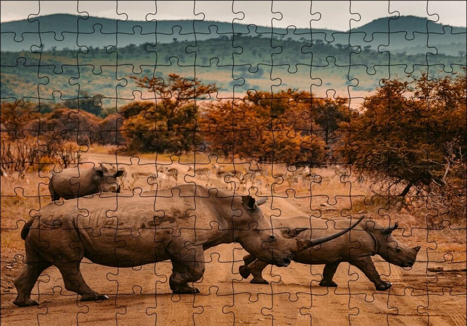 Muhteşem Boynuzlu Gergedan ve Yavrusu Puzzle Yapboz MDF Ahşap