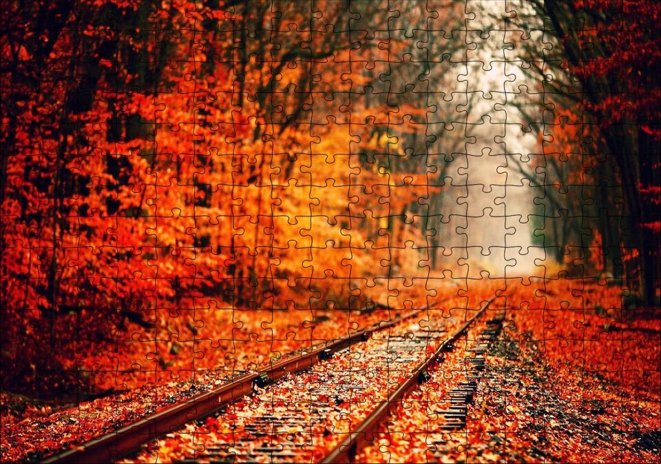 Tren Yolu Orman Bir Sonbahar Resmi Puzzle Yapboz MDF Ahşap 255 Parça 34 cm X 49 cm