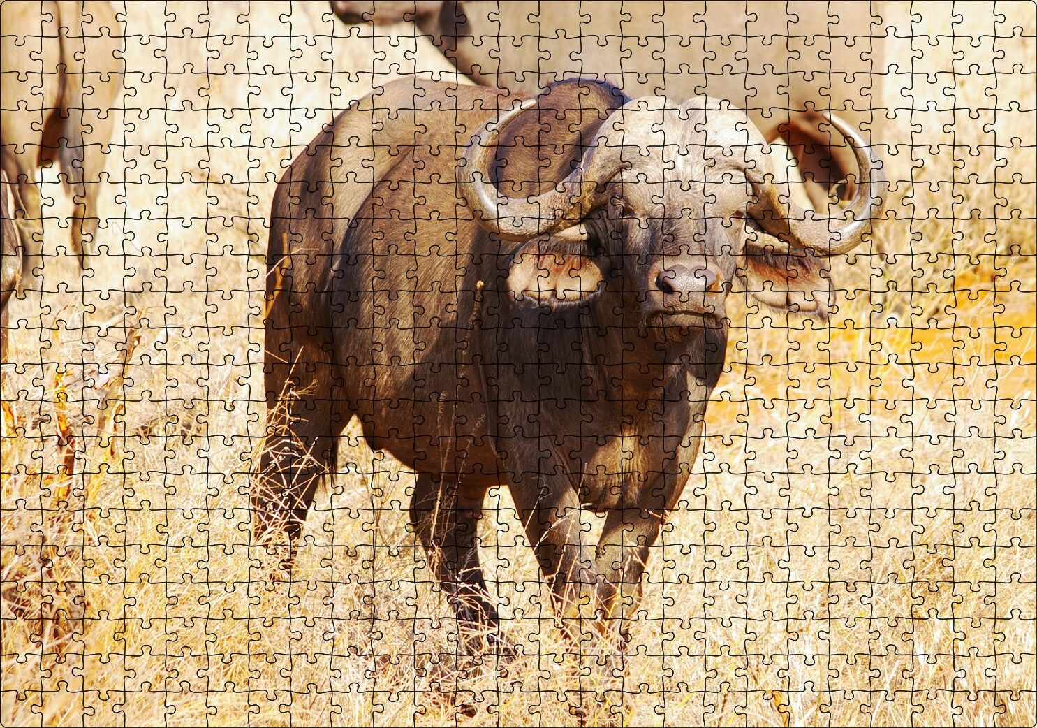 Afrika Bozkırında Bufalo ve Kuru Otlar Puzzle Yapboz MDF Ahşap 500 Parça 49 cm X 68 cm
