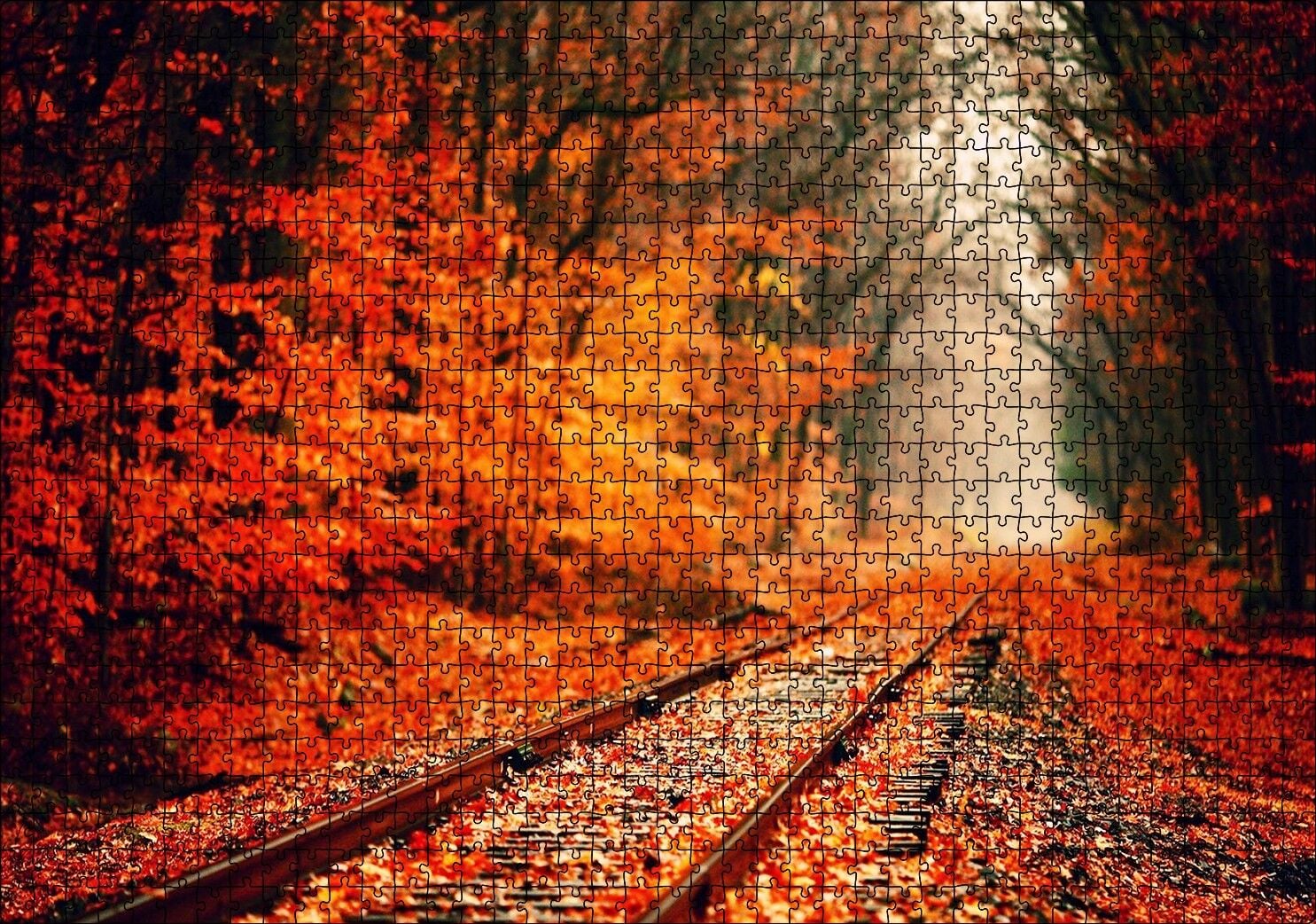 Tren Yolu Orman Bir Sonbahar Resmi Puzzle Yapboz MDF Ahşap 1000 Parça 49 cm X 68 cm