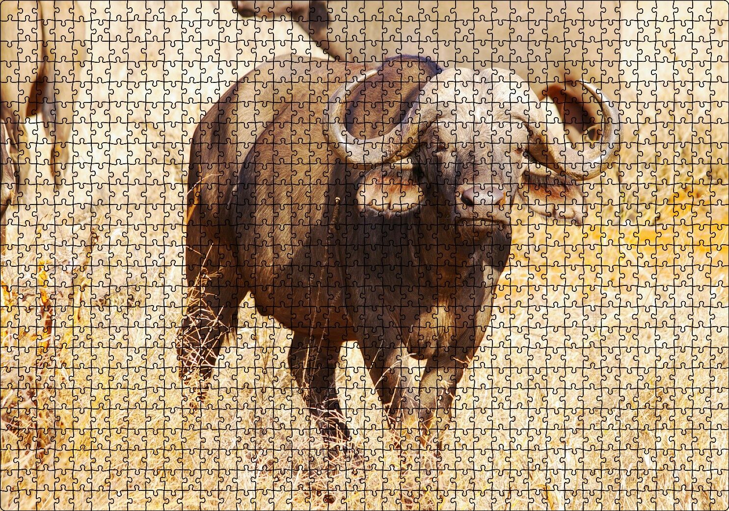 Afrika Bozkırında Bufalo ve Kuru Otlar Puzzle Yapboz MDF Ahşap 1000 Parça 49 cm X 68 cm