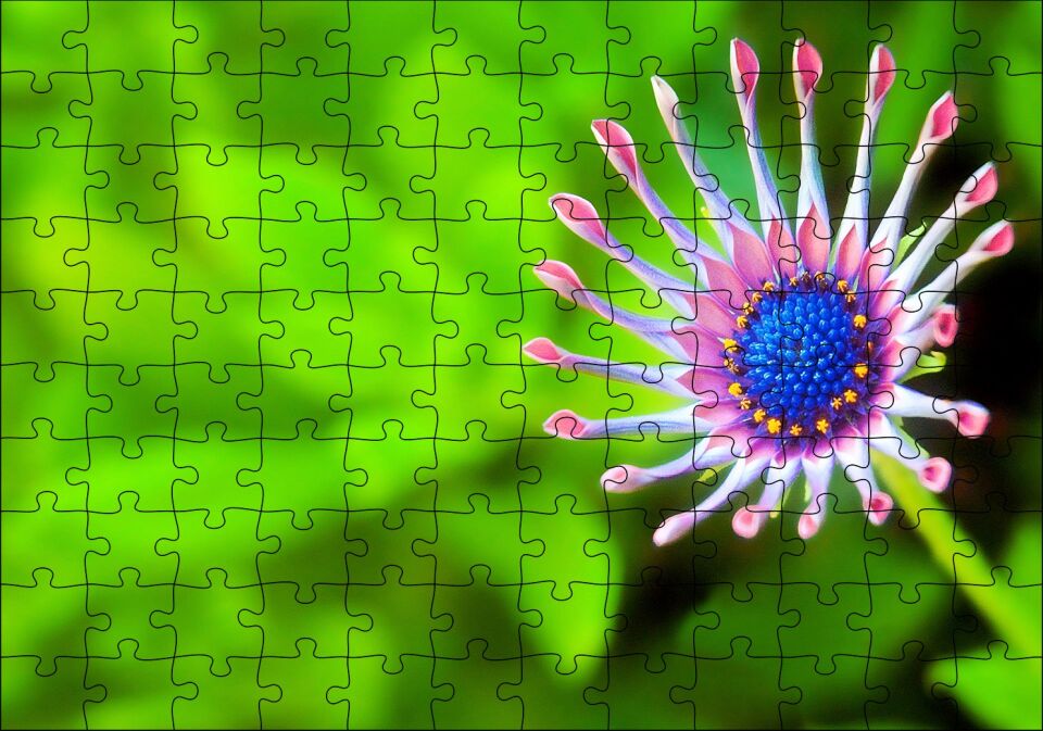 Yakın Çekim Çiçek Yeşil Flu Arkaplan Puzzle Yapboz MDF Ahşap