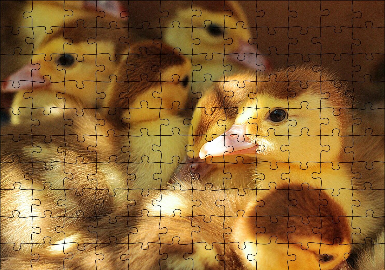 Ördek Yavruları Puzzle Yapboz MDF Ahşap