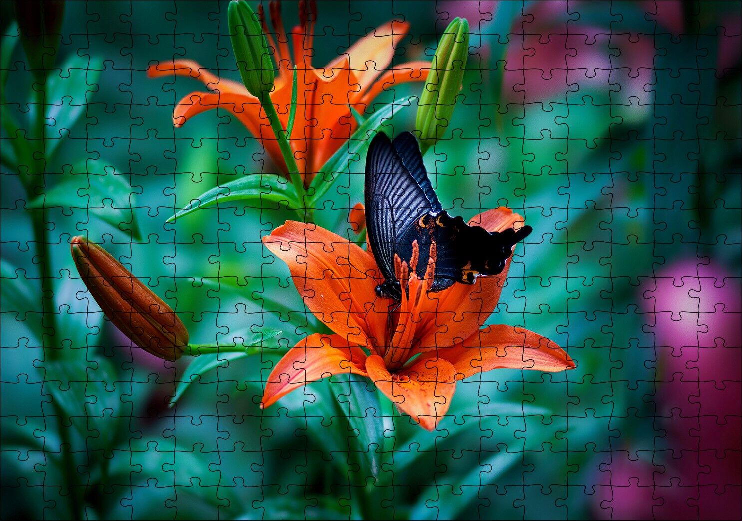 Truncu Lilyum Çiçeği Ve Mavi Kelebek Görseli Puzzle Yapboz MDF Ahşap 255 Parça 34 cm X 49 cm