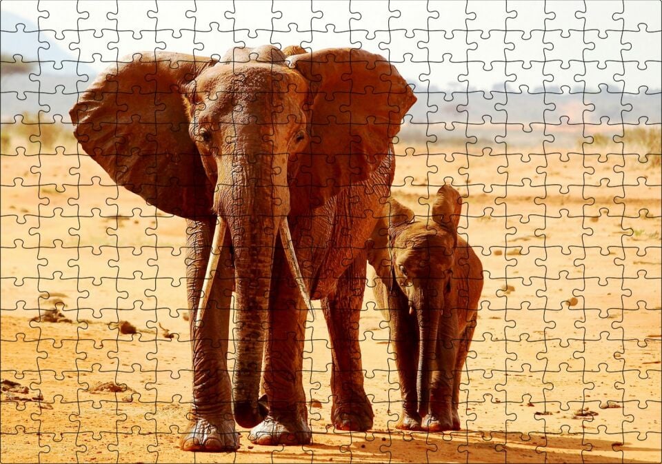 Afrika Savanada Anne Fil ve Yavrusu Puzzle Yapboz MDF Ahşap 255 Parça 34 cm X 49 cm