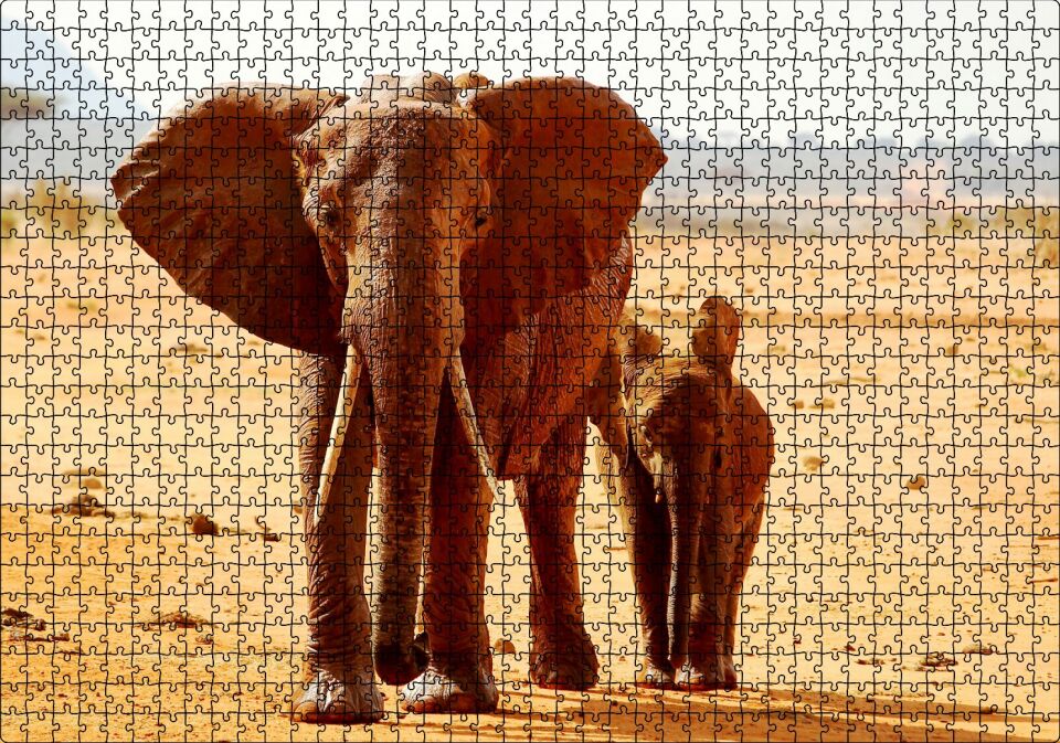 Afrika Savanada Anne Fil ve Yavrusu Puzzle Yapboz MDF Ahşap 1000 Parça 49 cm X 68 cm