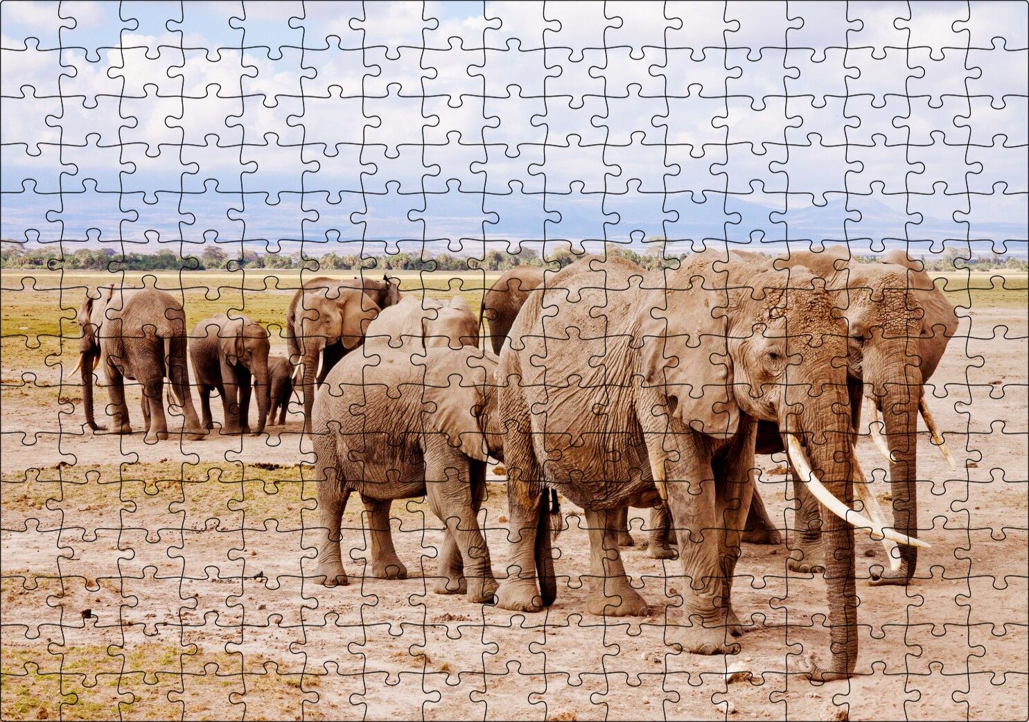 Afrika Savanada Filler Bir Arada Puzzle Yapboz MDF Ahşap 255 Parça 34 cm X 49 cm