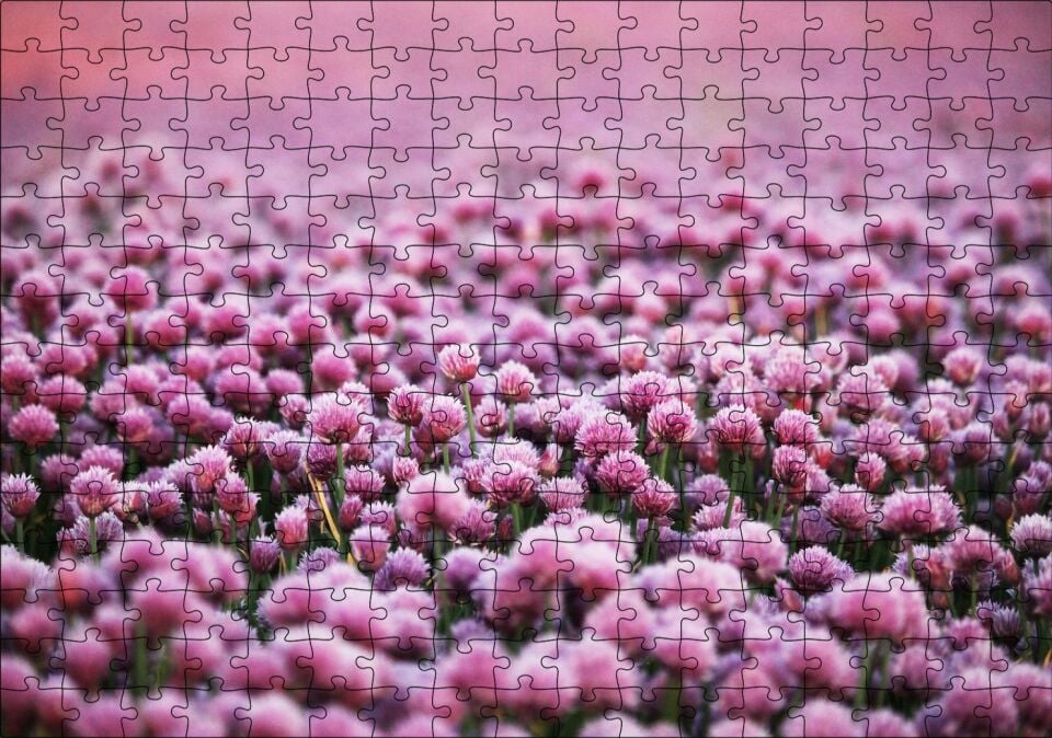 Mor Renkli Tomurcuk Çiçekler Puzzle Yapboz MDF Ahşap 255 Parça 34 cm X 49 cm