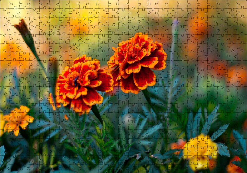 Turuncu Karanfil Çiçeği Görseli Puzzle Yapboz MDF Ahşap 500 Parça 49 cm X 68 cm