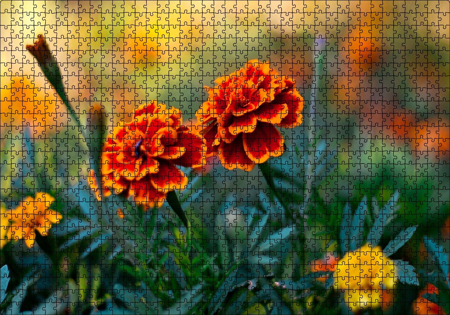 Turuncu Karanfil Çiçeği Görseli Puzzle Yapboz MDF Ahşap 1000 Parça 49 cm X 68 cm