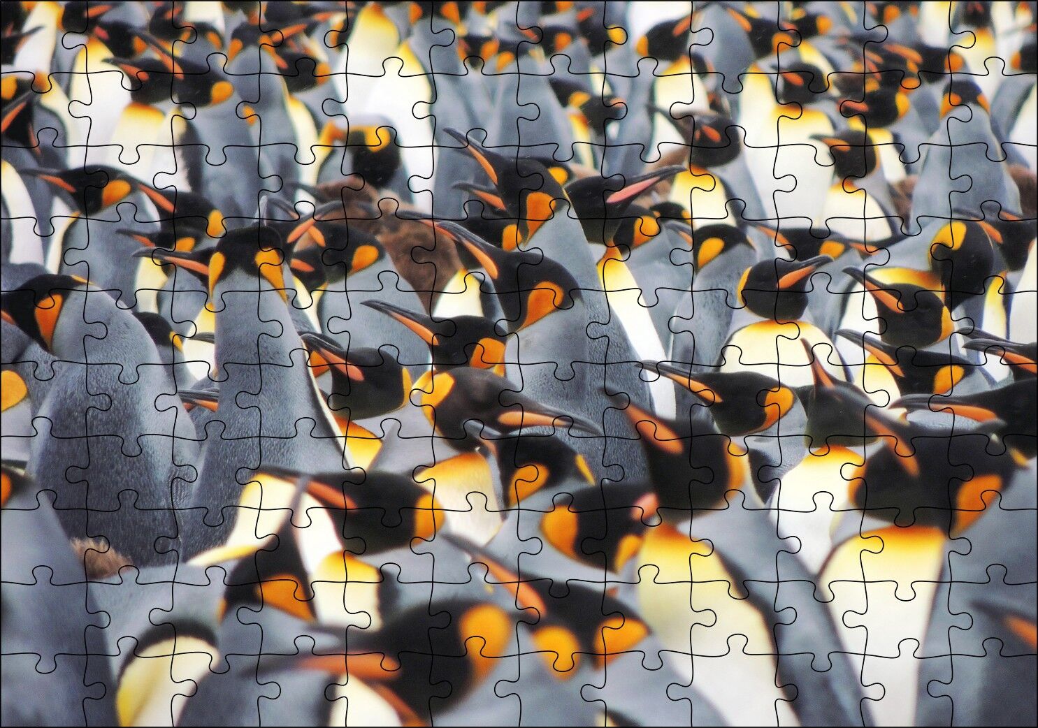 İmpataror Penguenleri Bir Arada Puzzle Yapboz MDF Ahşap