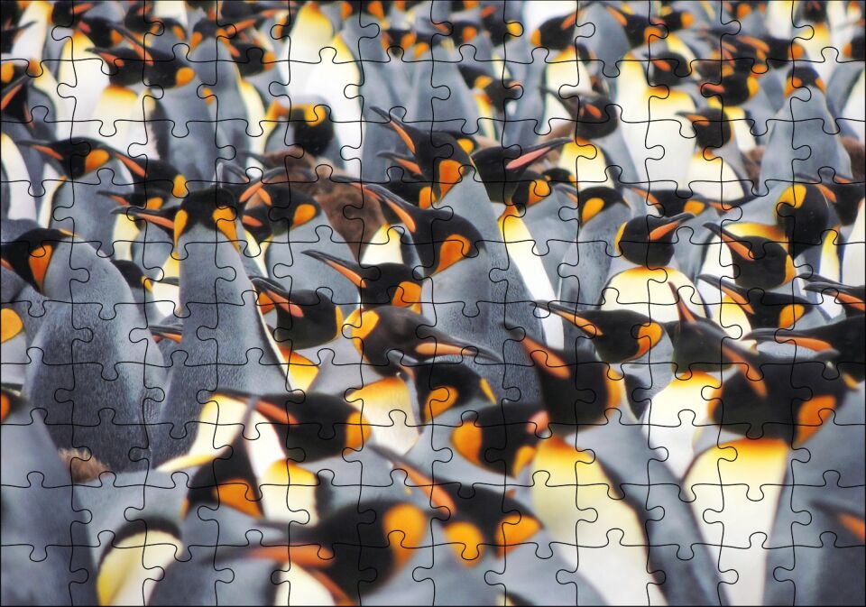 İmpataror Penguenleri Bir Arada Puzzle Yapboz MDF Ahşap