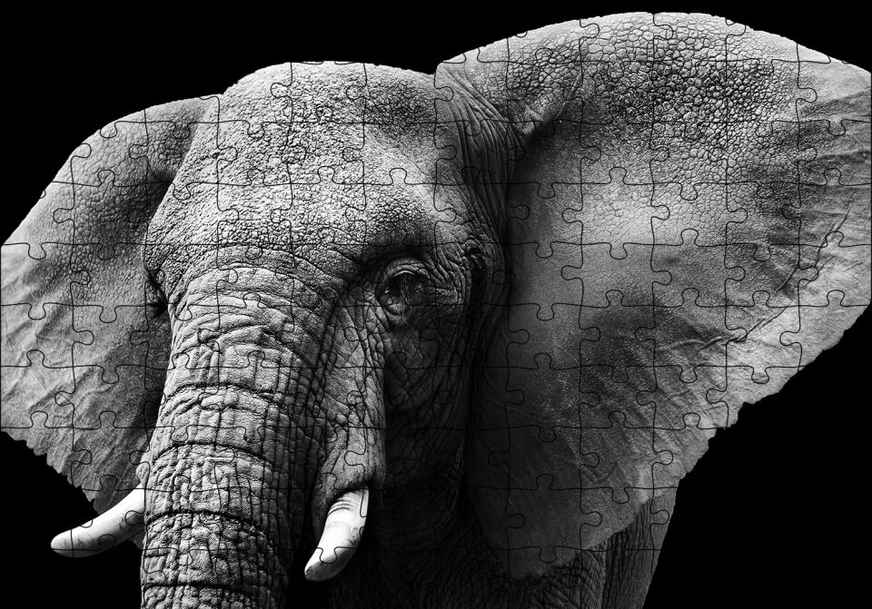 Yakın Plan Fil Siyah Beyaz Puzzle Yapboz MDF Ahşap 120 Parça 24 cm X 34 cm