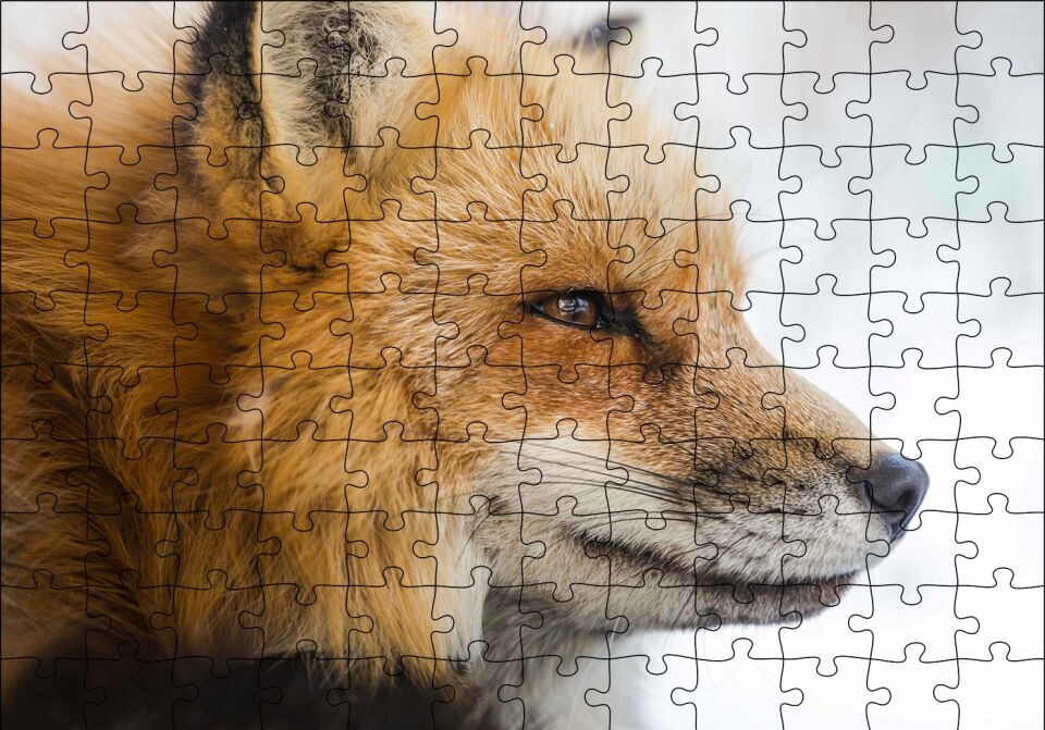 Uzakları İzleyen Kızıl Tilki Yakın Çekim Puzzle Yapboz MDF Ahşap