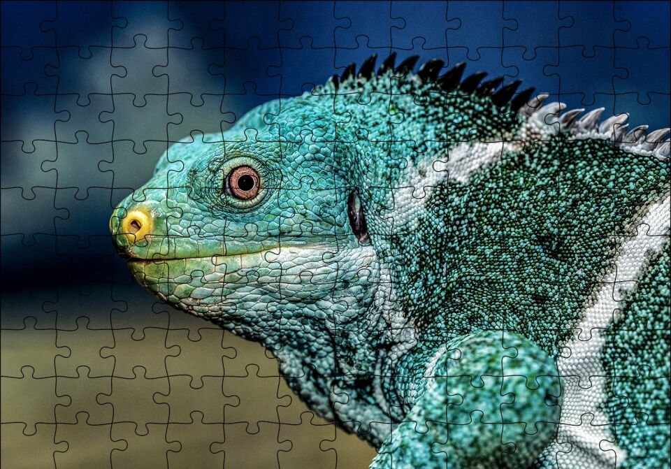 Dev Kertenkele Puzzle Yapboz MDF Ahşap 120 Parça 24 cm X 34 cm
