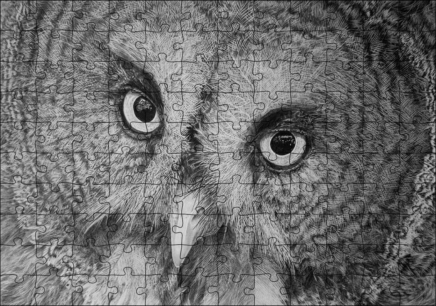 Gri Baykuş Yüz Yakın Çekim Puzzle Yapboz MDF Ahşap