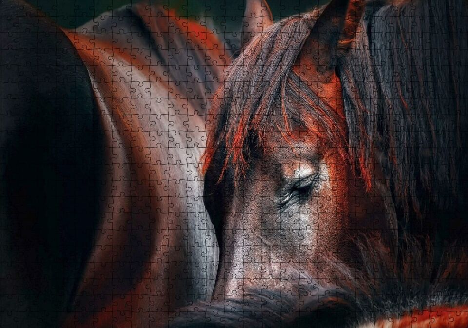 At Profili Görseli Puzzle Yapboz MDF Ahşap 500 Parça 49 cm X 68 cm