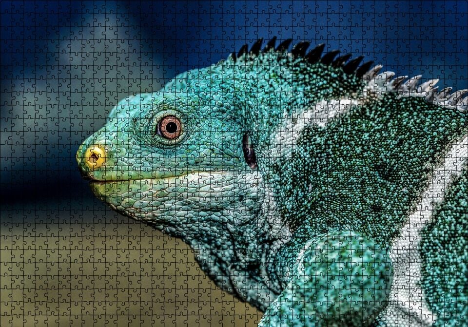 Dev Kertenkele Puzzle Yapboz MDF Ahşap 1000 Parça 49 cm X 68 cm