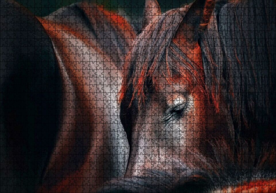 At Profili Görseli Puzzle Yapboz MDF Ahşap 1000 Parça 49 cm X 68 cm