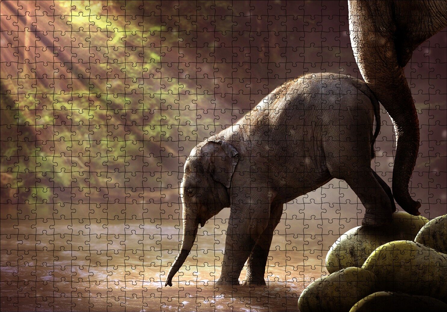 Yavru Fil Nehir ve Güneş Işınları Puzzle Yapboz MDF Ahşap 500 Parça 49 cm X 68 cm